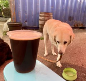 Lucy With the Black Is Beautiful Stout at Goldspot Brewing