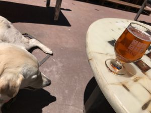 Lucy at Soulcraft Brewing in Salida CO